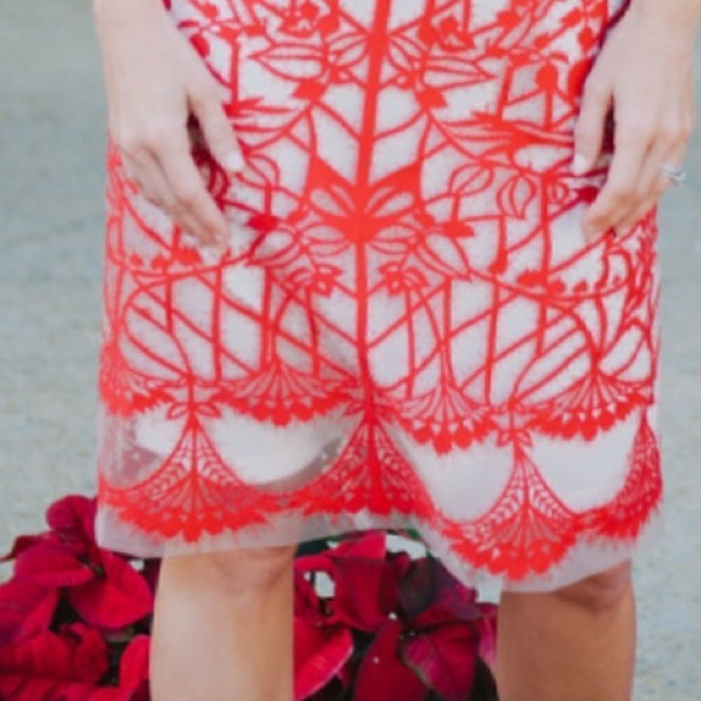 💯 ANTHROPOLOGIE Sugared Ruby Sheath - Picture 7 of 8